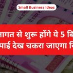 Small Business Ideas 85 low investment