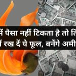 Vastu Tips For Wealth 01