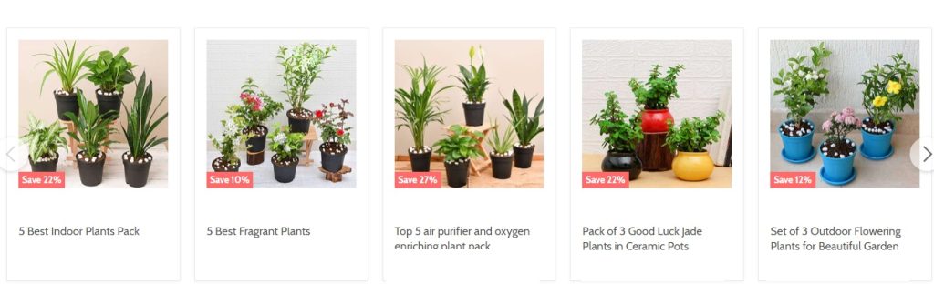 online nursery plant business idea