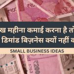 small business ideas 256