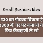 small business ideas 300 luxury