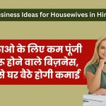 Business Ideas for Housewives in Hindi