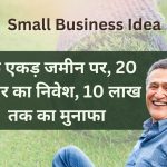 small business idea lawn grass