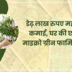 Microgreen Farming business idea