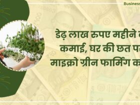 Microgreen Farming business idea