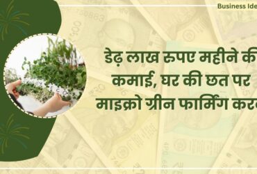 Microgreen Farming business idea