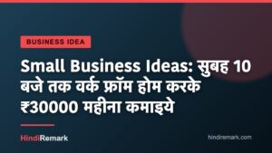Small Business Ideas: सुबह 10 बजे तक वर्क फ्रॉम होम करके ₹30000 महीना कमाइये