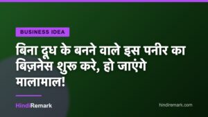 बिना दूध के बनने वाले इस पनीर का बिज़नेस शुरू करे, हो जाएंगे मालामाल!